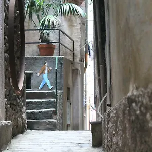 Guardando Le Stelle Vernazza